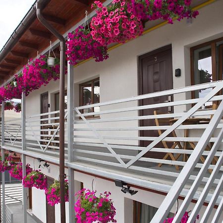 Vaias Aparts Targu Neamt Exterior photo